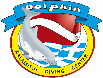 dolphin diving porto kalamitsi